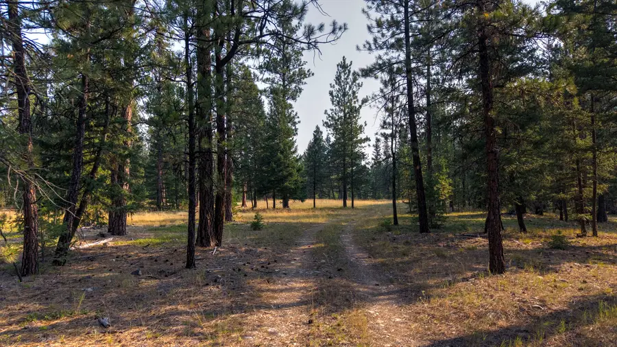 6030 W Fork Road, Darby, MT 59829 - #3