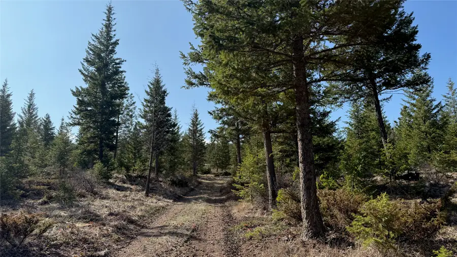 TBD Kootenai Echo Trail, Rexford, MT 59930 - #3