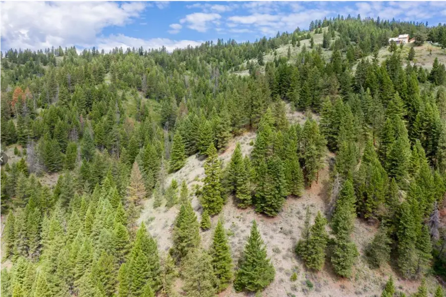NHN Bear Run Creek Road, Missoula, MT 59803 - #3
