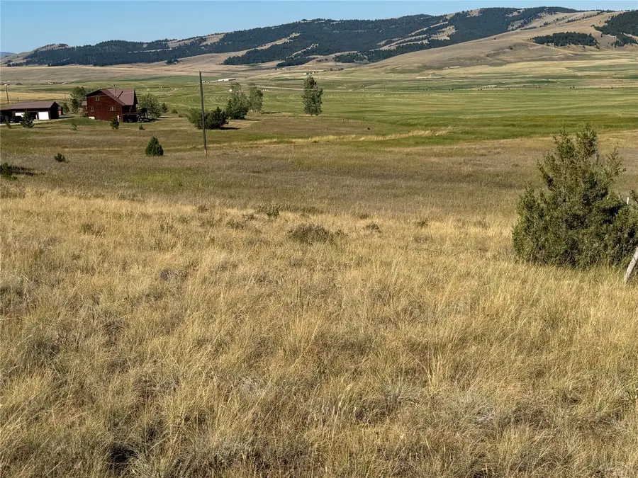 NHN Handlos Lane, Philipsburg, MT 59858 - #3