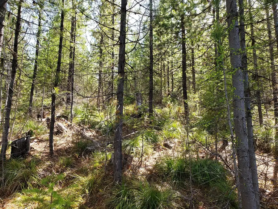 Tract 4 Nine Mile Road, Huson, MT 59846 - #2