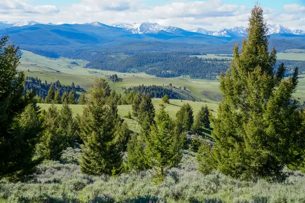 Running J Ranch, Philipsburg, MT 59858
