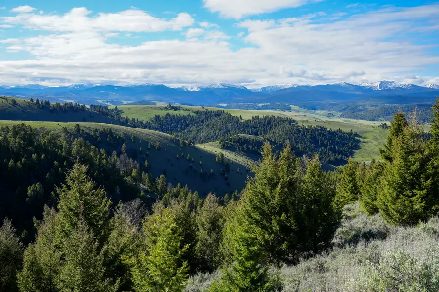 Running J Ranch, Philipsburg, MT 59858 - #2