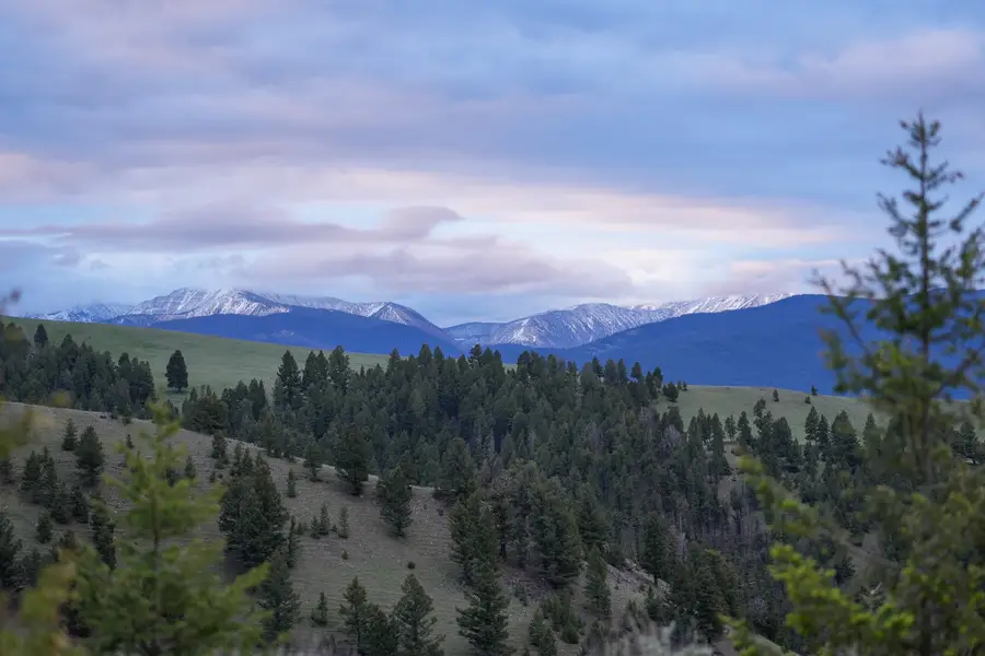 Running J Ranch, Philipsburg, MT 59858 - #3