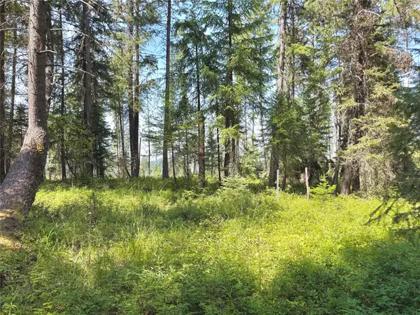 825 South Fork Road, Martin City, MT 59926