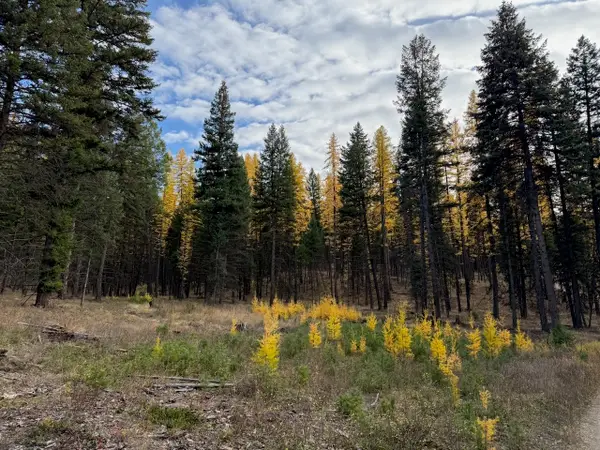 nhn Meadow Creek Road, Fortine, MT 59918