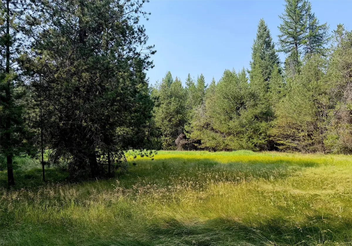 950 Lodgepole Drive, Marion, MT 59925 - #1