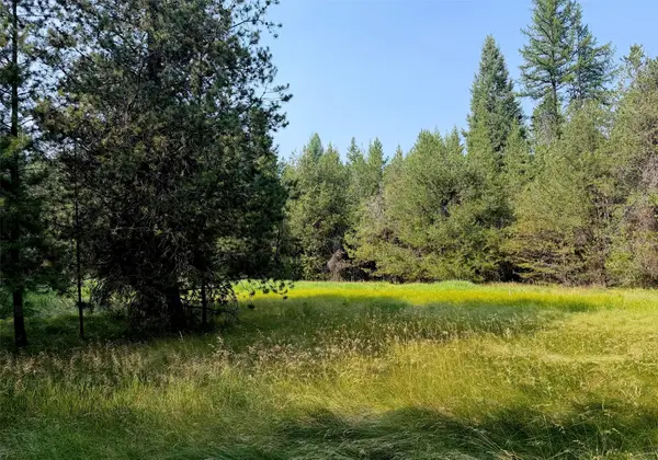 950 Lodgepole Drive, Marion, MT 59925