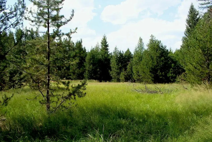 950 Lodgepole Drive, Marion, MT 59925 - #2