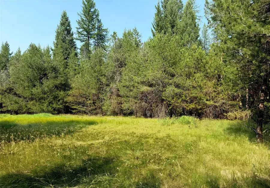 950 Lodgepole Drive, Marion, MT 59925 - #3