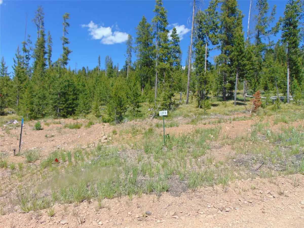 Nhn Covellite Lane #Lot 9, Anaconda, MT 59711 - #1