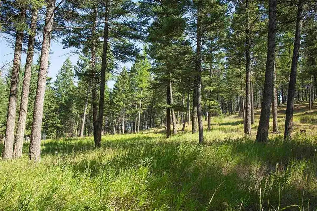 1243 Kienas Road, Kalispell, MT 59901 - #1