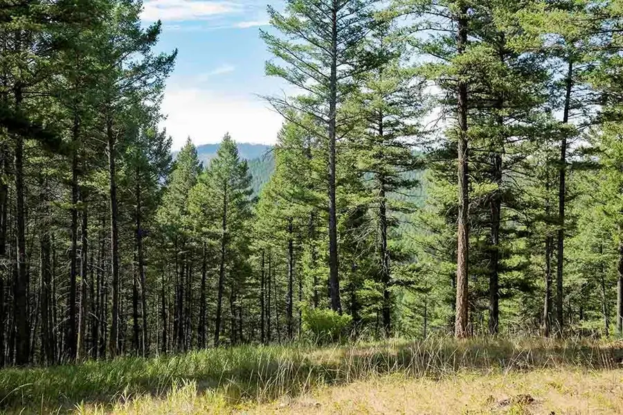 1243 Kienas Road, Kalispell, MT 59901 - #3