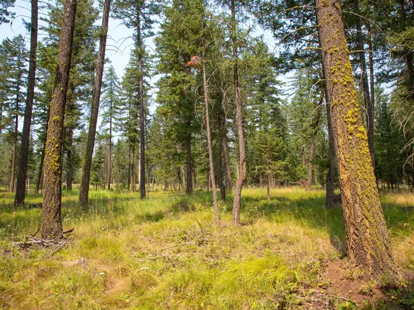 415 Bowdish Road, Kalispell, MT 59901