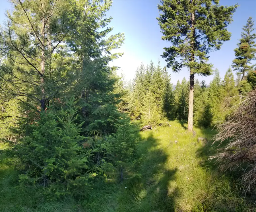 E Half Lot 2A Haywire Gulch, Kalispell, MT 59901 - #3