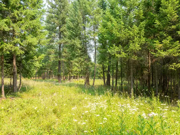 NHN Bowdish Road, Kalispell, MT 59901