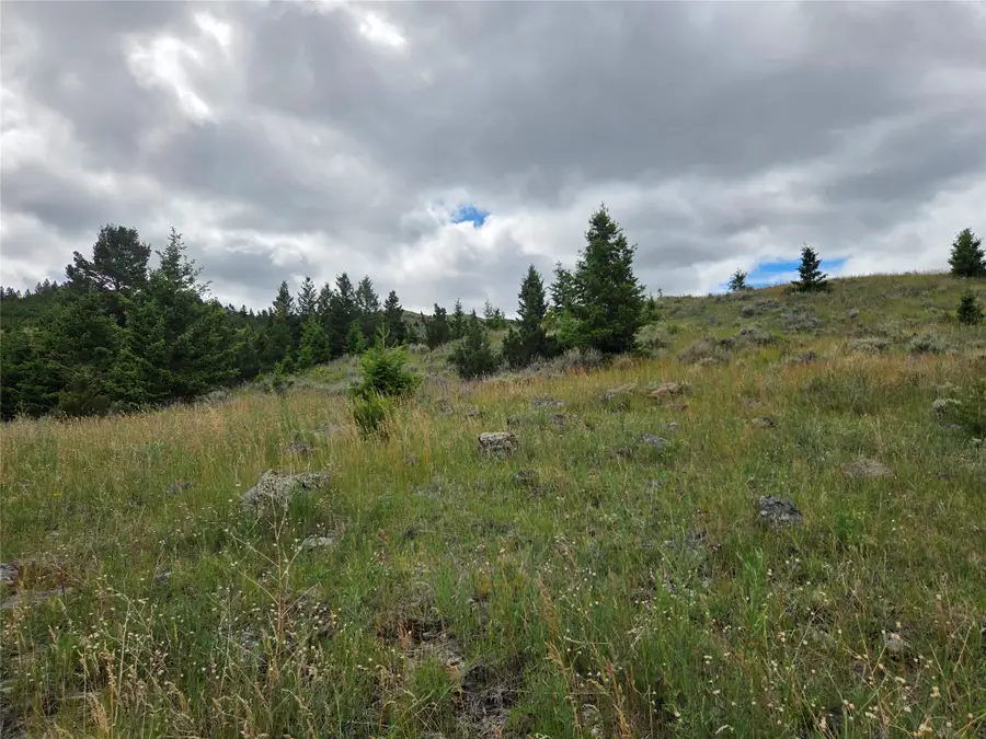 TBD E Harrison Street, Virginia City, MT 59755 - #2