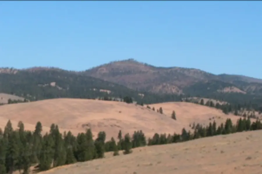 NHN Granite Creek Road, Florence, MT 59833 - #3