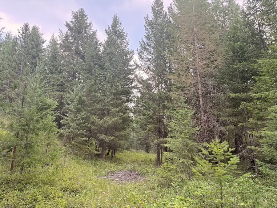 47466 Harmony Lane, Proctor, MT 59929 - #2