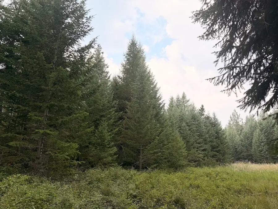 47466 Harmony Lane, Proctor, MT 59929 - #3