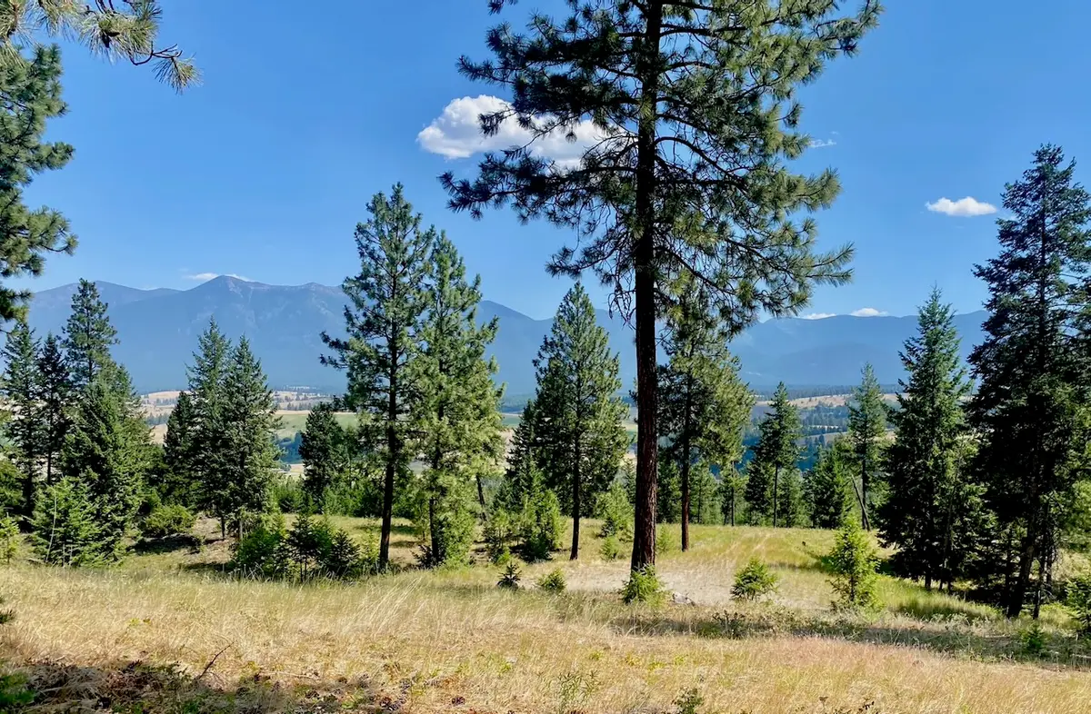 nhn Hillandale Trail, Eureka, MT 59917 - #1