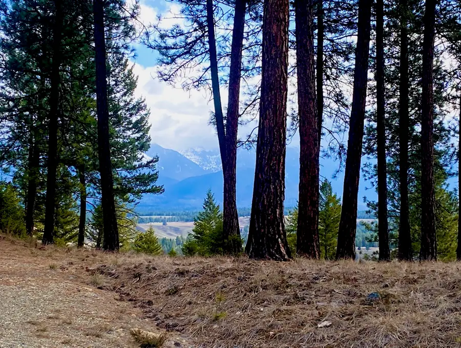 nhn Hillandale Trail, Eureka, MT 59917 - #3