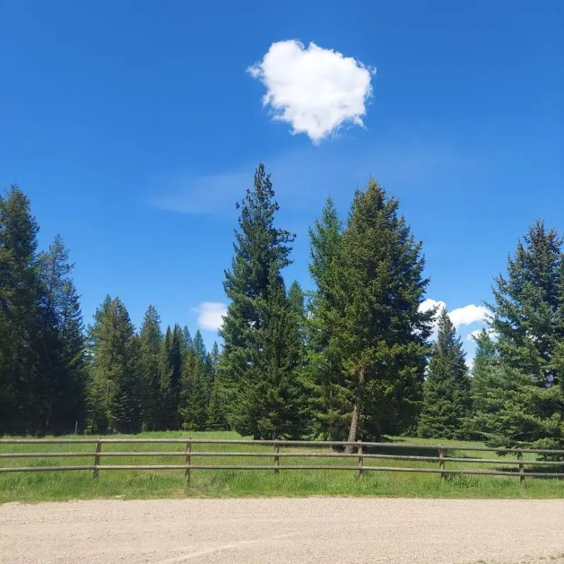183 Washboard Drive, Condon, MT 59826 - #2