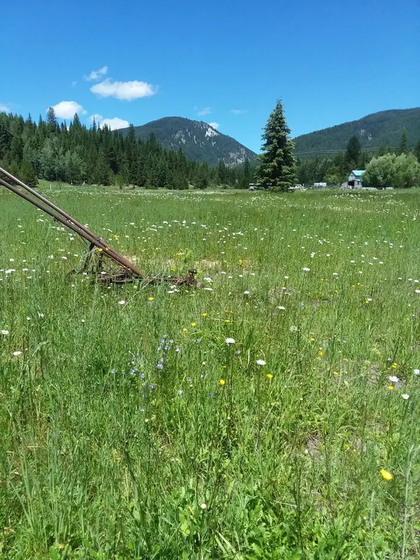 77 Wildwood Drive, De Borgia, MT 59830