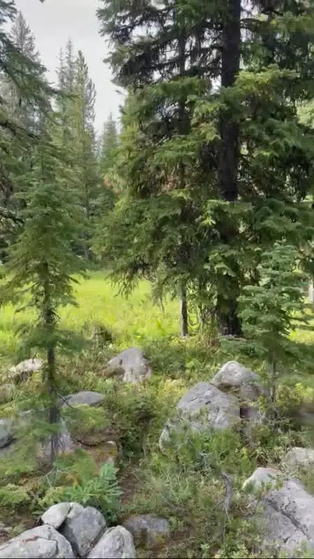 NHN Michael Davitt And The Kan Lode Granite Mining Road, Philipsburg, MT 59858 - #2