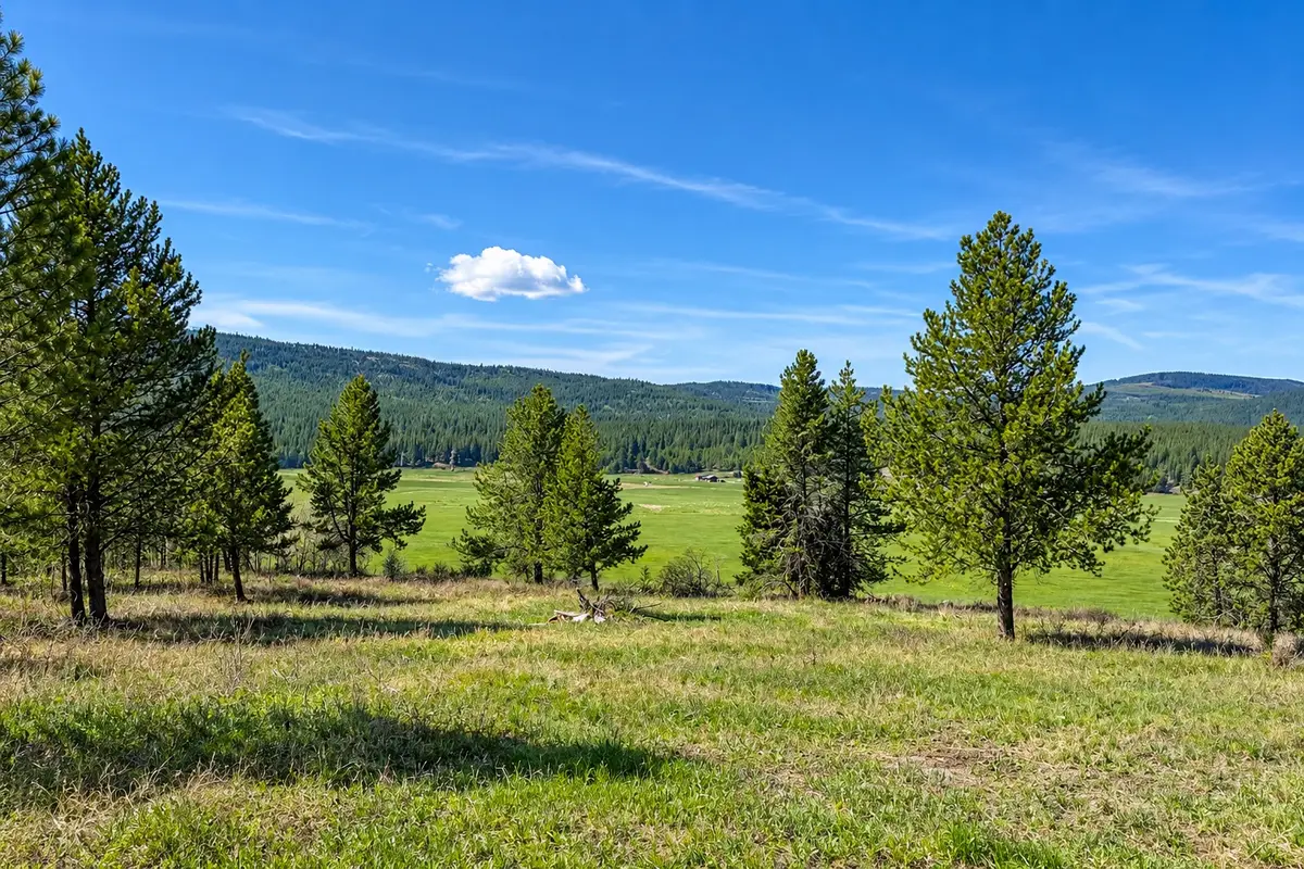 2890 Lower Lost Prairie Road, Marion, MT 59925 - #1