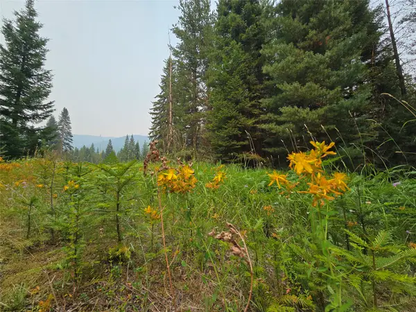 12941 Yaak River Road, Yaak, MT 59935