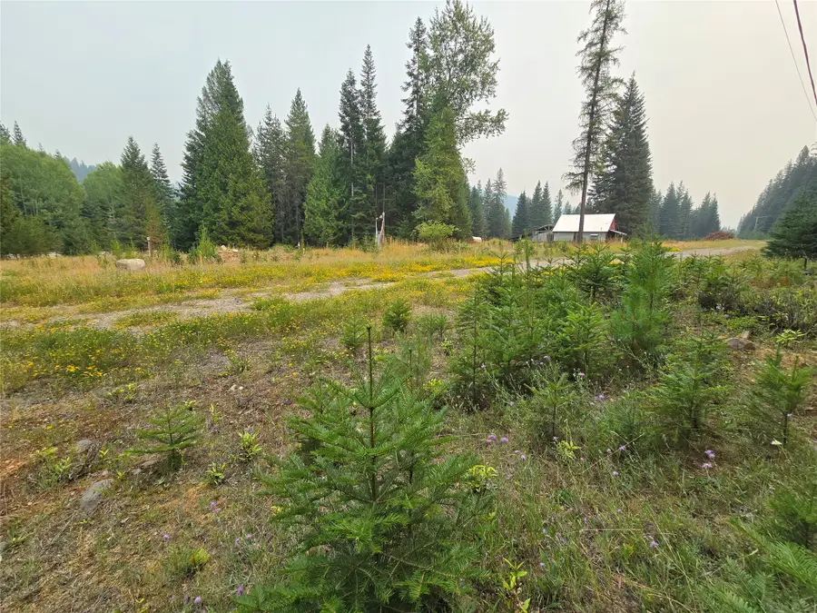 12941 Yaak River Road, Yaak, MT 59935 - #2