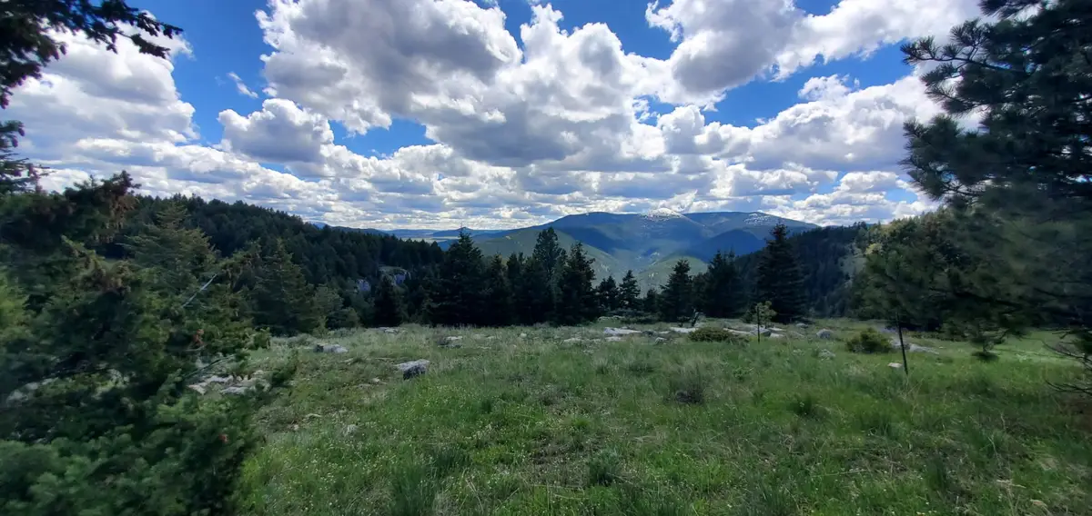 TBD Logging Creek Road, Monarch, MT 59463 - #1