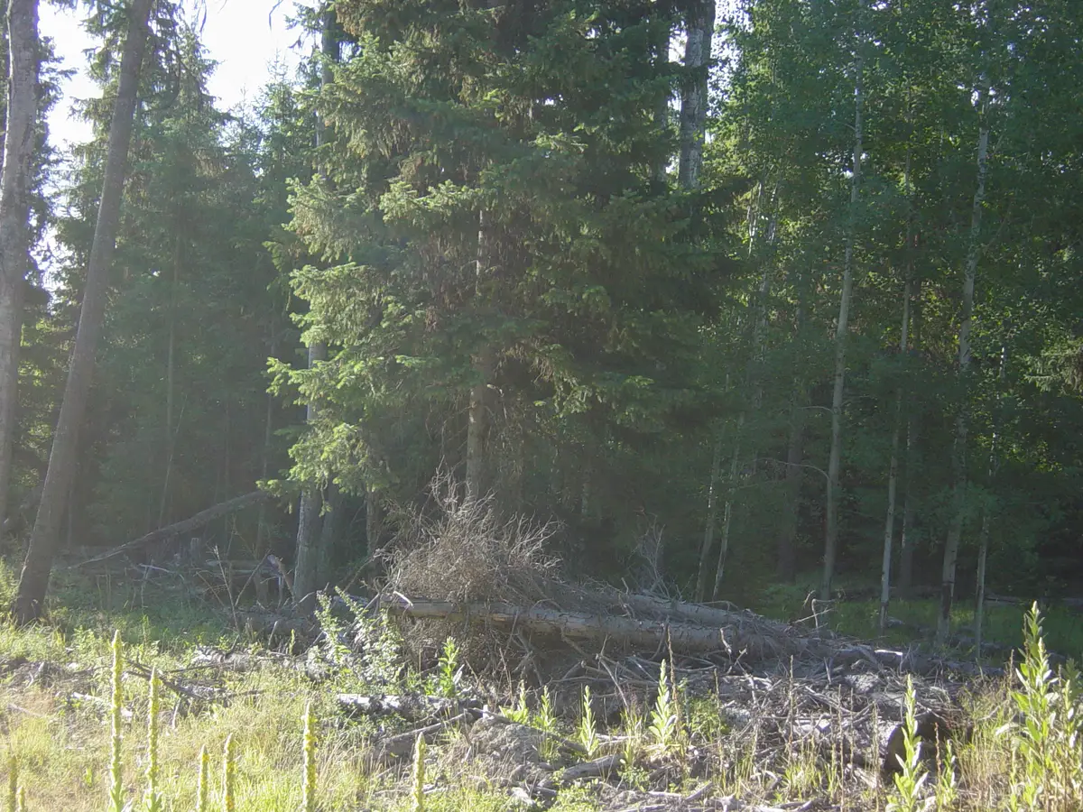 NHN Lot 10 Davis Creek Road, Libby, MT 59923 - #1