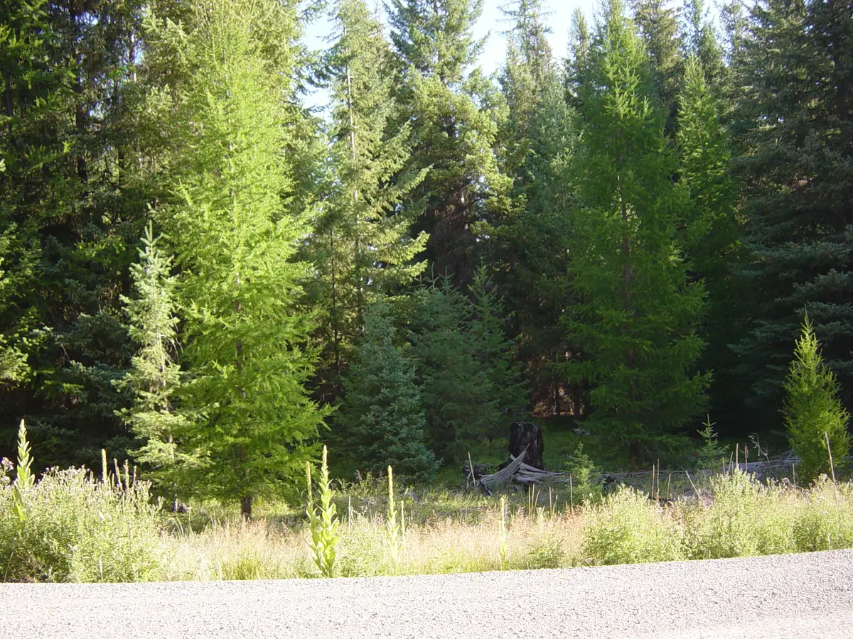 NHN Lot 11 Davis Creek Road, Libby, MT 59923 - #1