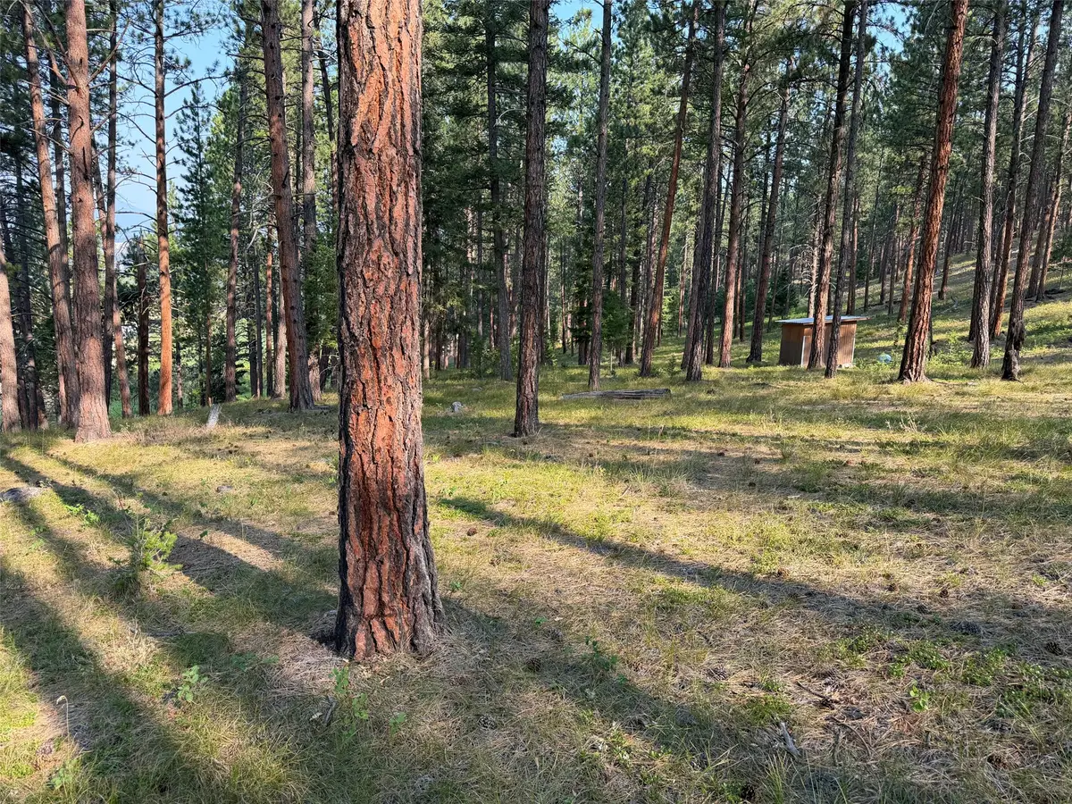 NHN Only Sierra Lane, Potomac, MT 59823 - #1