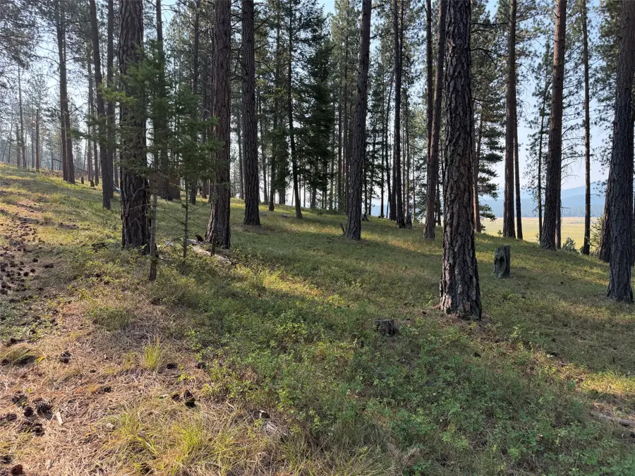 NHN Only Sierra Lane, Potomac, MT 59823 - #2