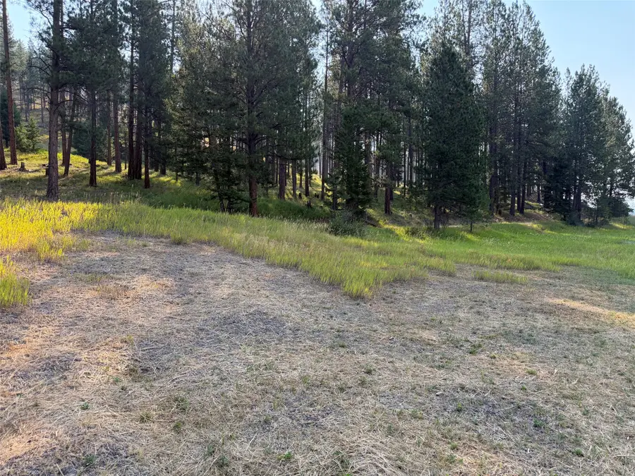NHN Only Sierra Lane, Potomac, MT 59823 - #3