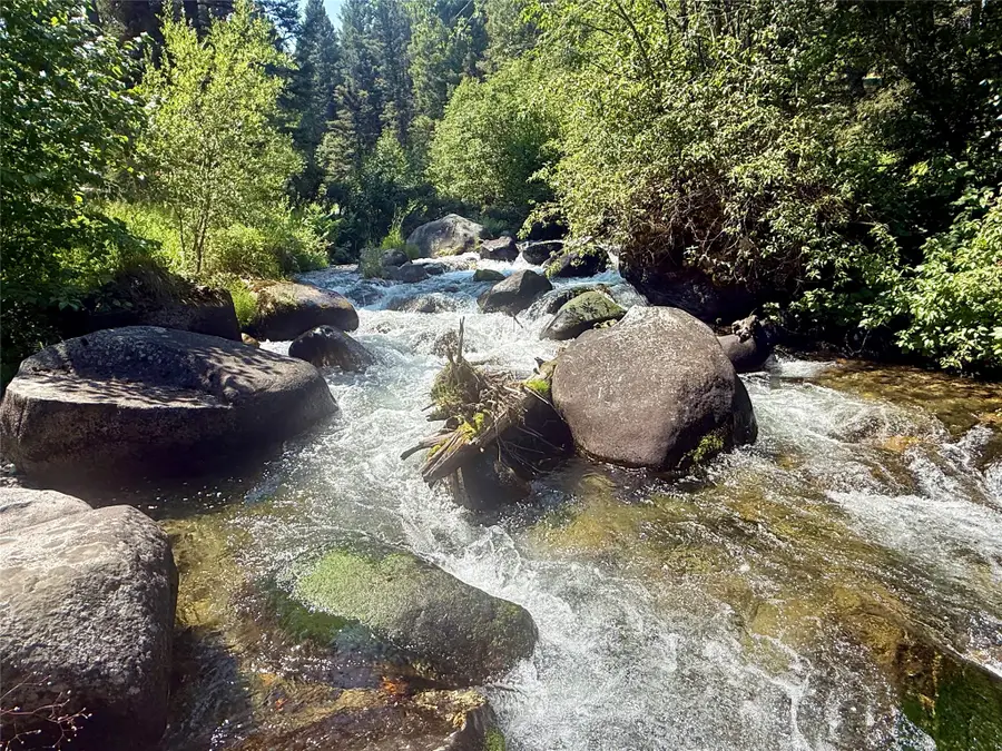 1286 Gold Creek Lakes Road, Gold Creek, MT 59733 - #3