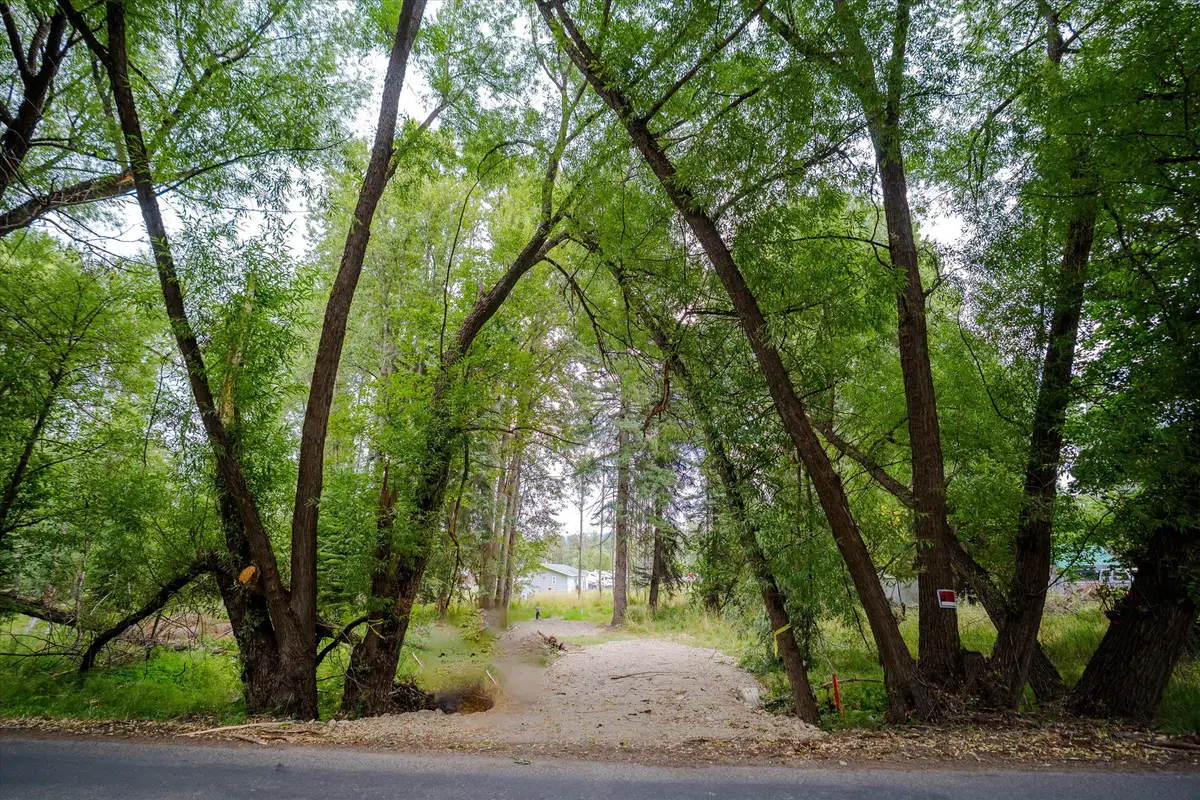 98 Dome Mountain Avenue, Libby, MT 59923 - #1