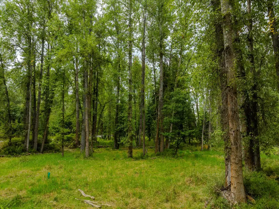 98 Dome Mountain Avenue, Libby, MT 59923 - #3