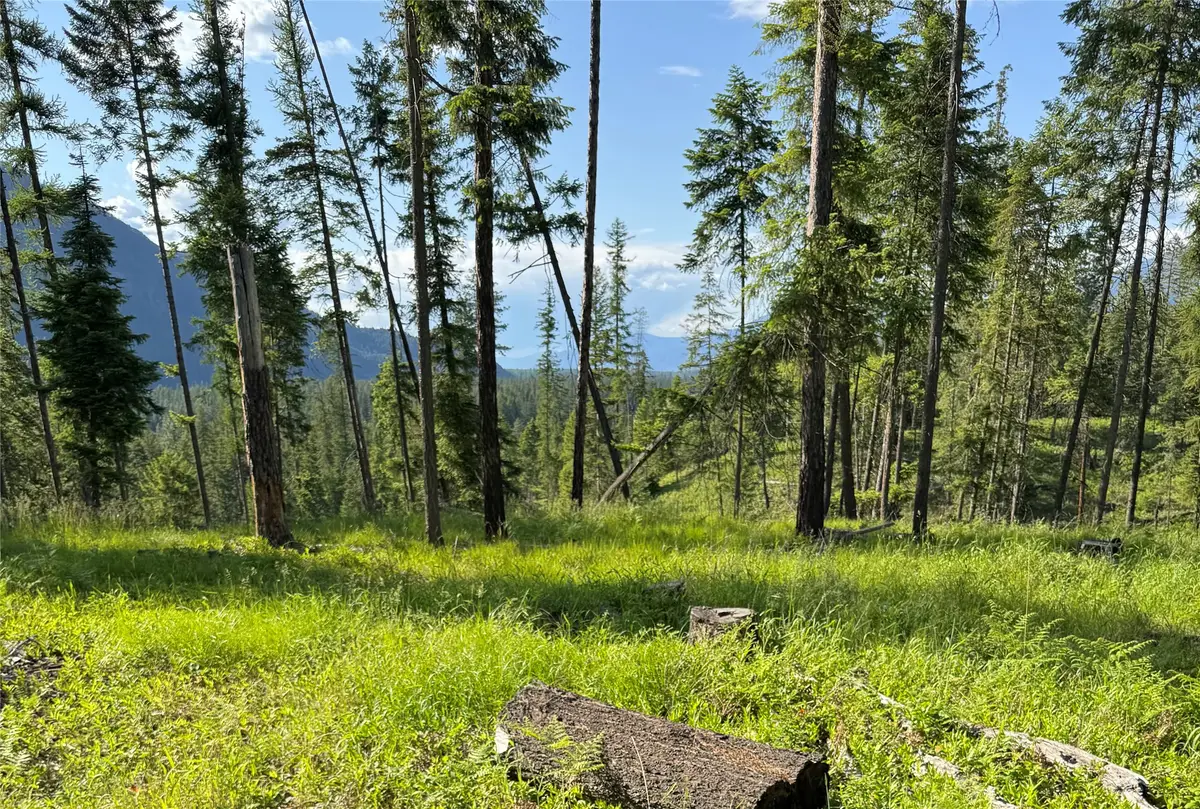 22 Flatiron Way, Thompson Falls, MT 59873 - #1