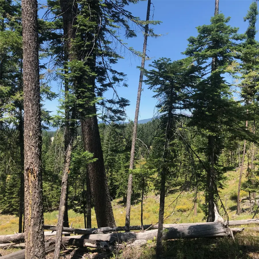 22 Flatiron Way, Thompson Falls, MT 59873 - #3