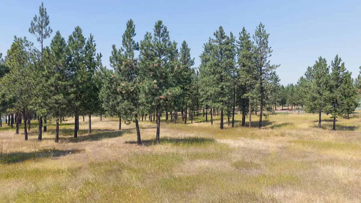NHN Sherman Drive, Eureka, MT 59917 - #1