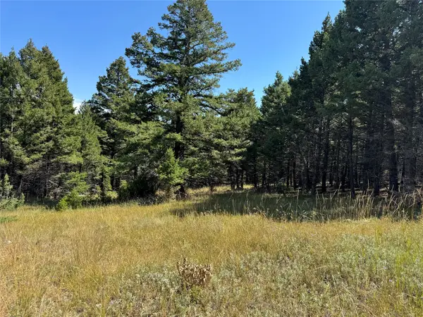 Lot 7 Turk Road, Helena, MT 59602