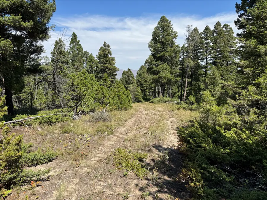 Lot 7 Turk Road, Helena, MT 59602 - #3