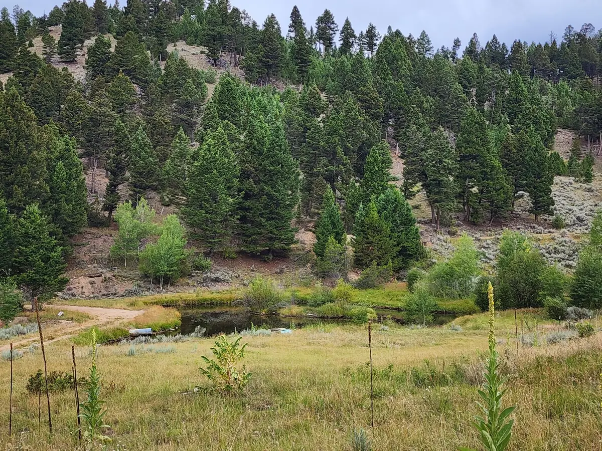 TBD Big Limber Gulch, Basin, MT 59631 - #1