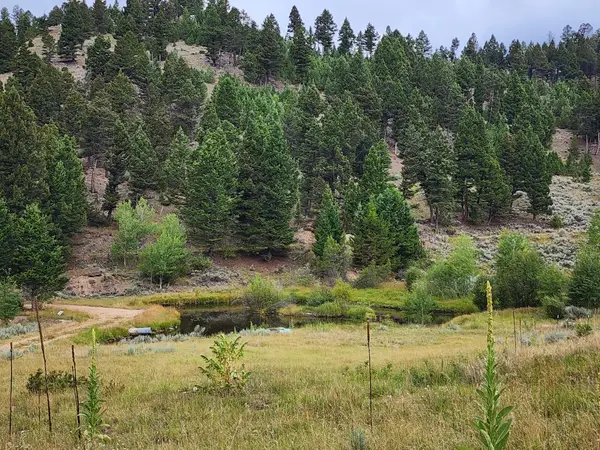 TBD Big Limber Gulch, Basin, MT 59631