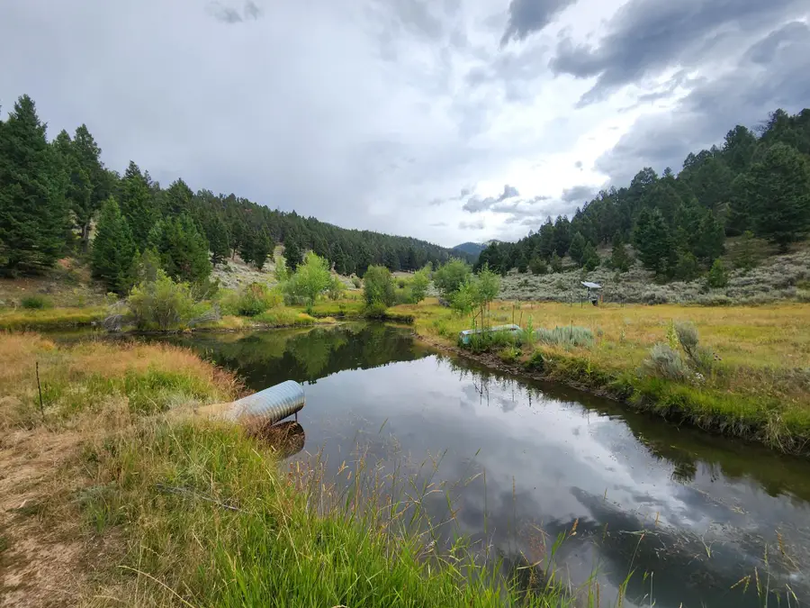 TBD Big Limber Gulch, Basin, MT 59631 - #2