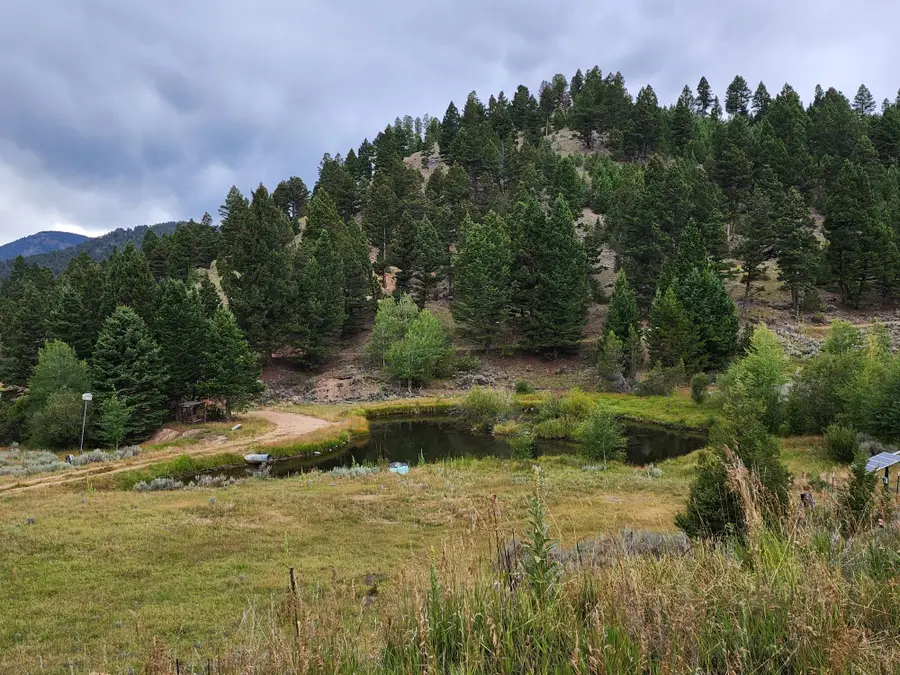 TBD Big Limber Gulch, Basin, MT 59631 - #3